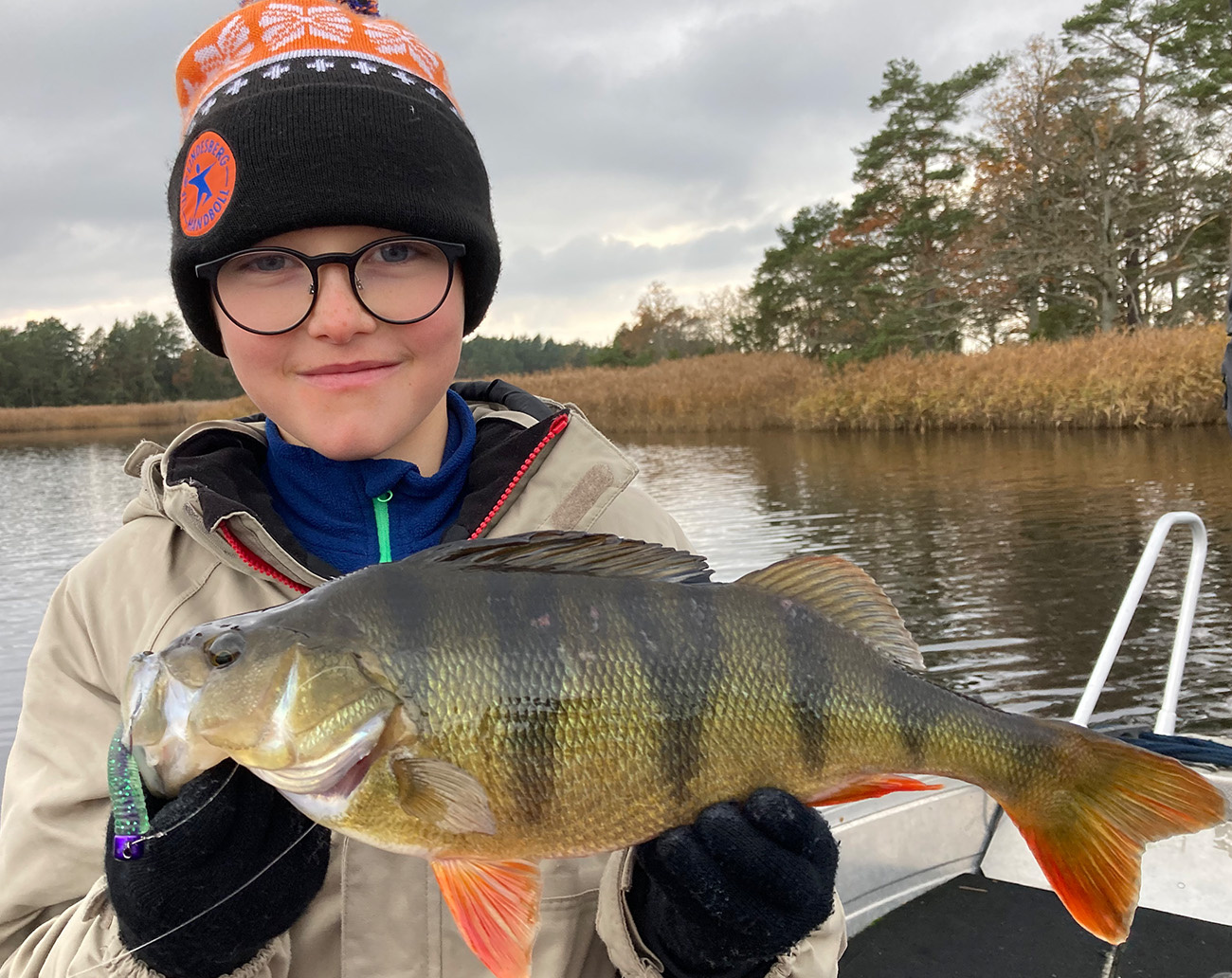 Attitude Baits NED Heads